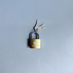 Pack All Luggage Padlocks, Metal Suitcase Locks with Keys